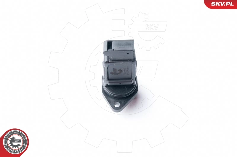 Mass Air Flow Sensor